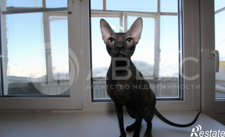 1-комн квартира улица Воровского, 88,  д. 88