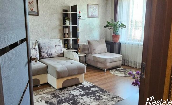 1-комн квартира Радиозаводское шоссе, 33,  д. 33