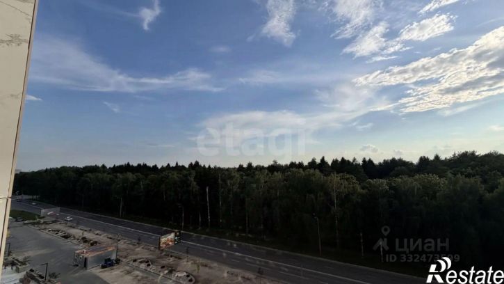 1-комн квартира ул Владимирская, 24,  д. 24